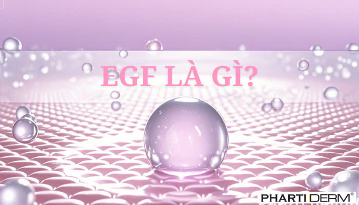 Hình ảnh bài viết