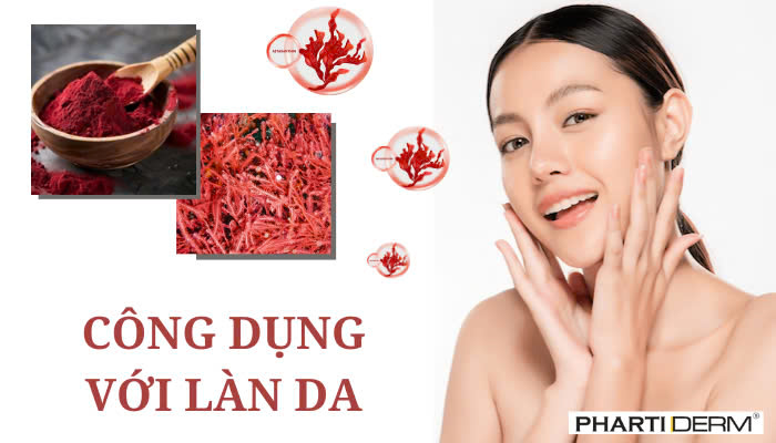 Hình ảnh bài viết