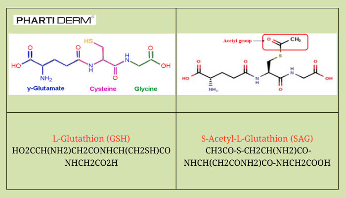 Hình ảnh bài viết