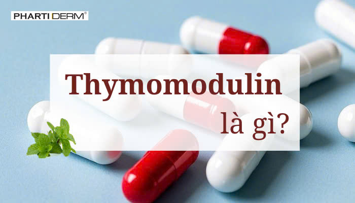 Hình ảnh bài viết