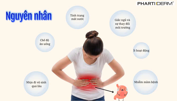 Hình ảnh bài viết