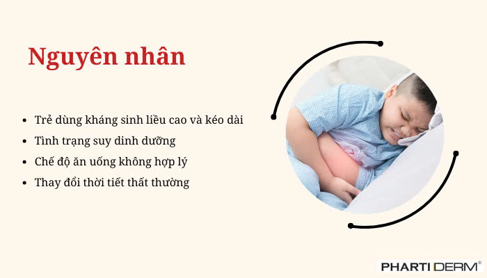 Hình ảnh bài viết
