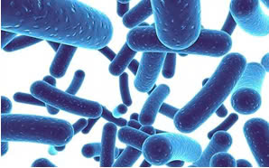 Hình ảnh bài viết