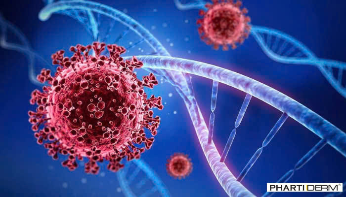 Hình ảnh bài viết