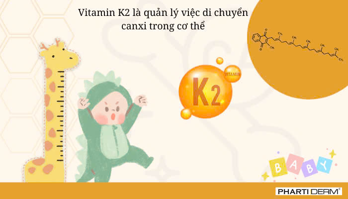 Hình ảnh bài viết