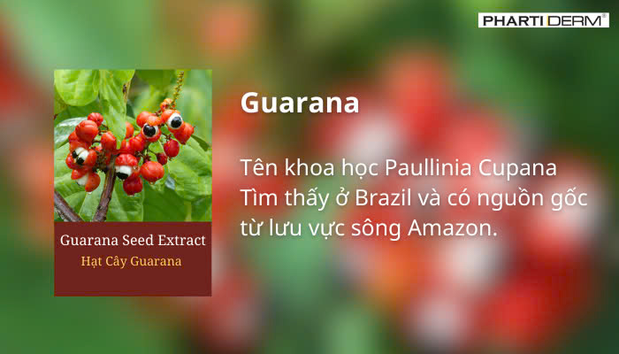 Hình ảnh bài viết