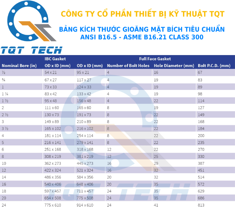  tiêu chuẩn gioăng ansi class300