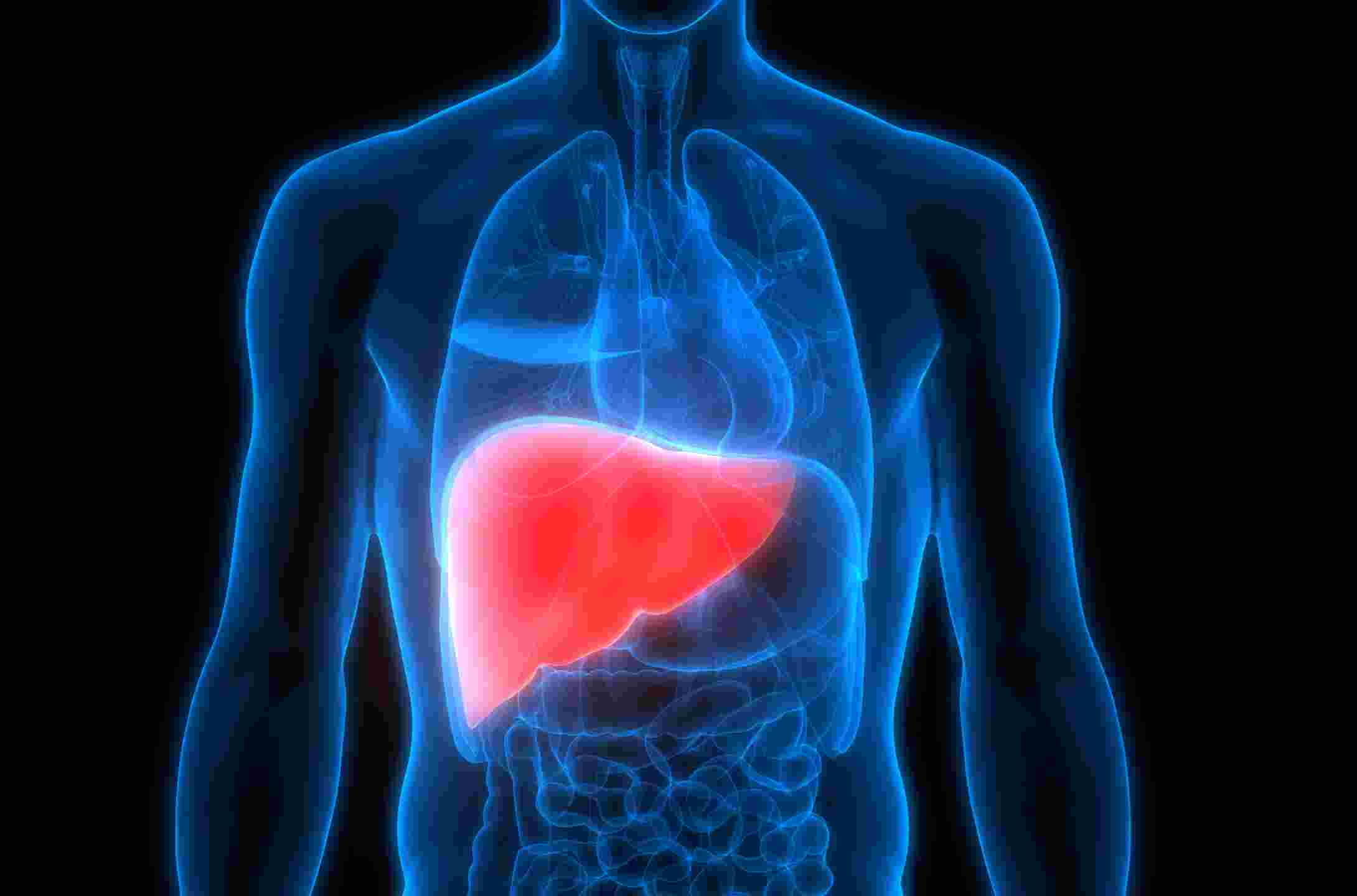 Cơ chế giải độc gan