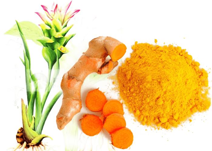 Nghệ vàng tốt cho gan