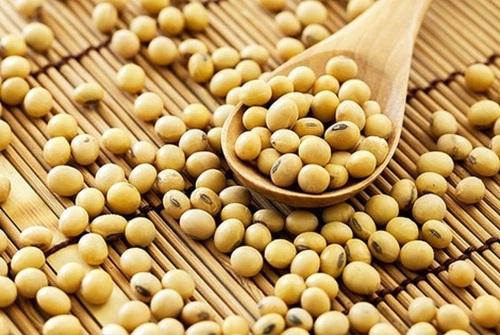 Phospholipid đậu nành là gì?