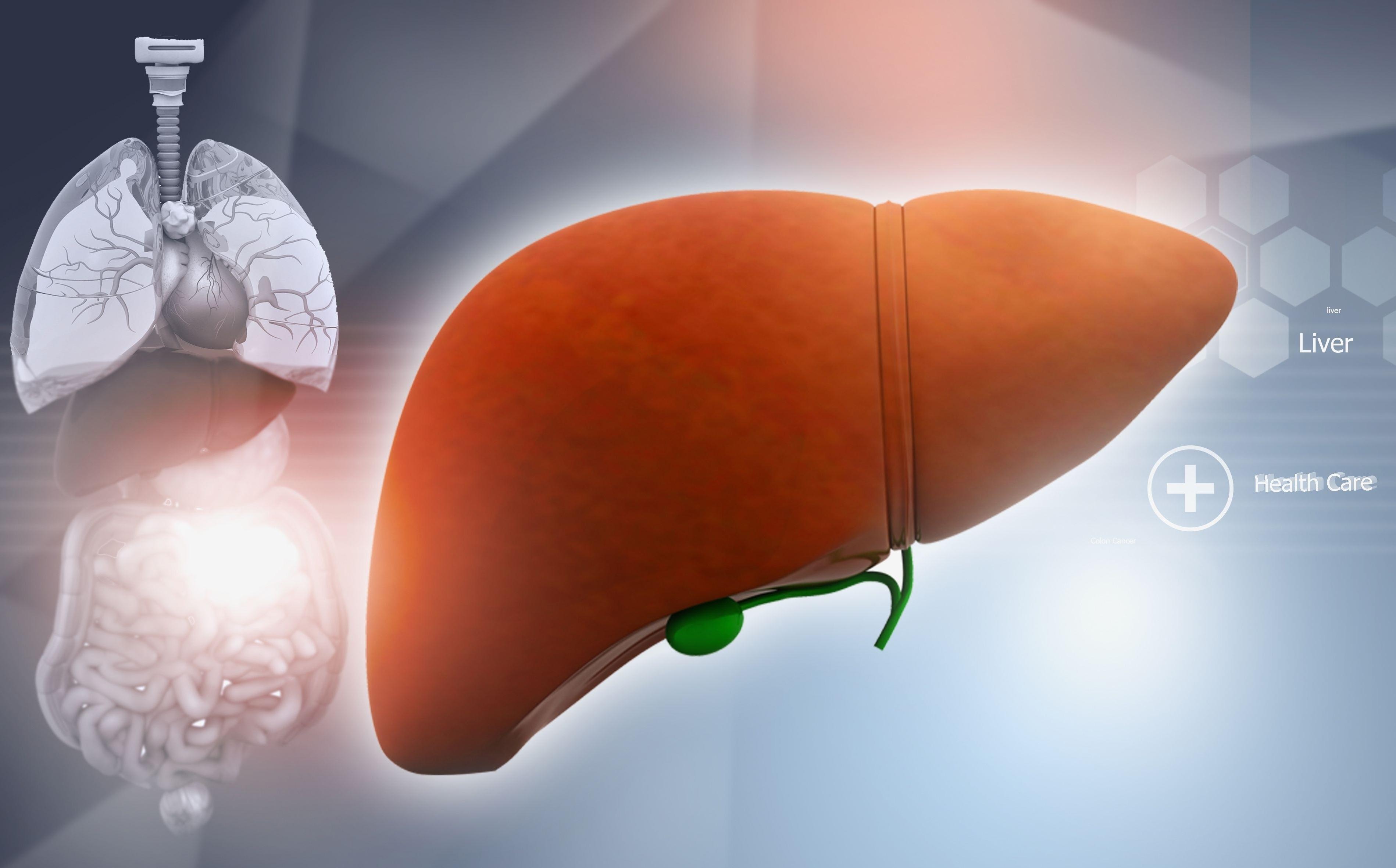 Phương pháp siêu âm gan