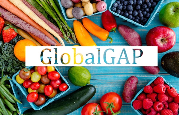 global gap đối với nông sản