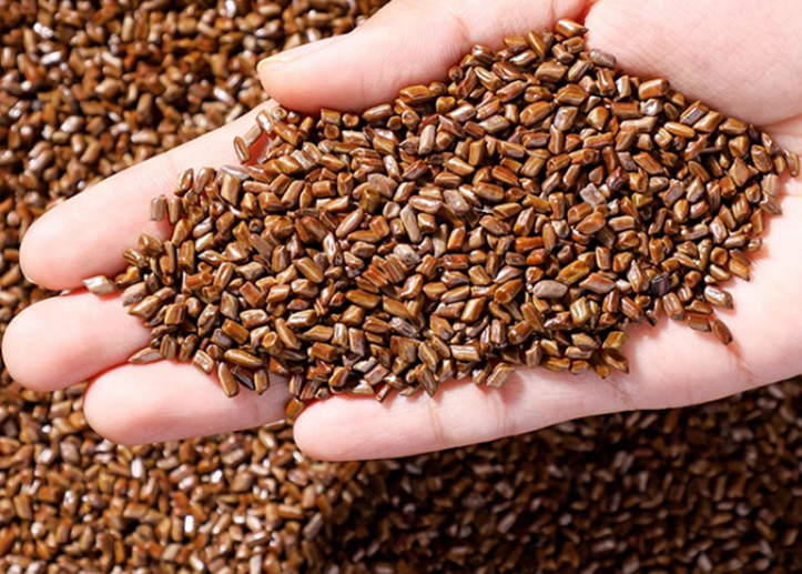 Hạt Muồng – Đồ Chơi Thiên Nhiên Đầy Bổ Ích Cho Trẻ Em