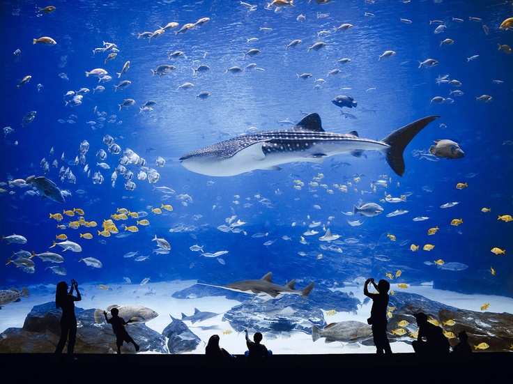 địa điểm vui chơi Nha Trang