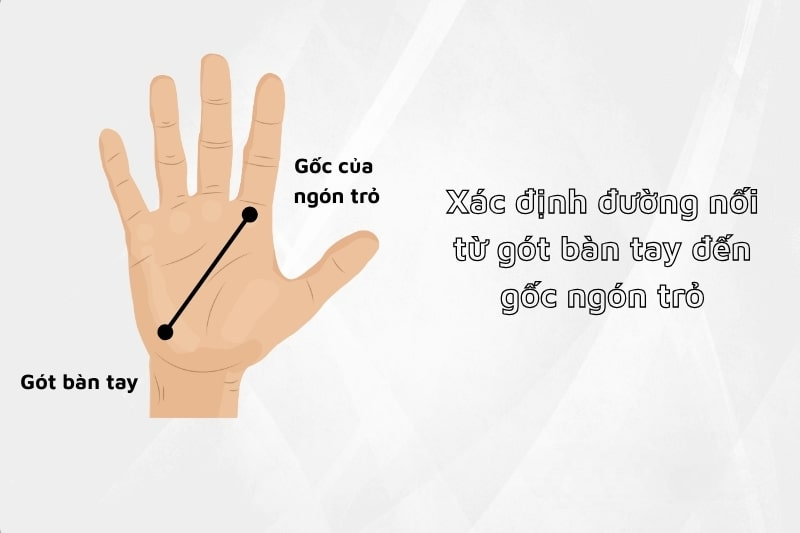 Hướng dẫn cách cầm vợt pickleball số 2, số 3 chuẩn kỹ thuật