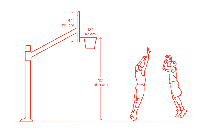 Trụ bóng rổ cao bao nhiêu? Chiều cao tiêu chuẩn và quy định thi đấu