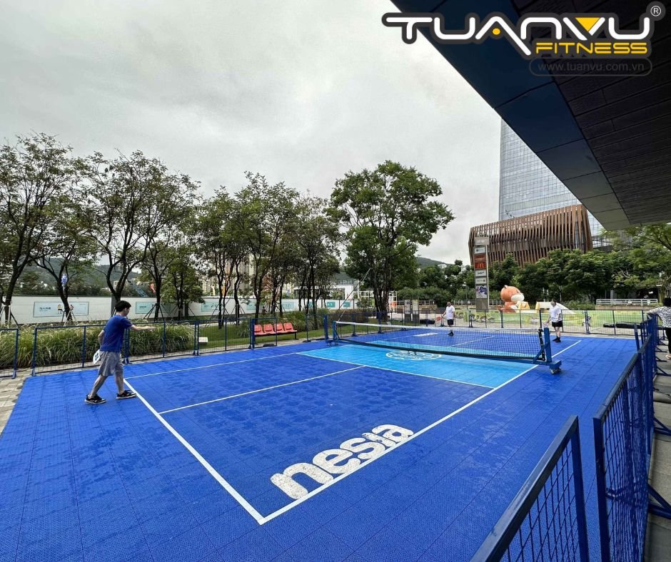 Tìm hiểu kích thước sân Pickleball theo tiêu chuẩn quốc tế