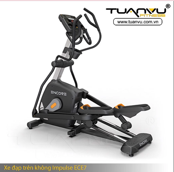 THIẾT BỊ THỂ HÌNH IMPULSE