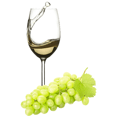 WINE SELECTION