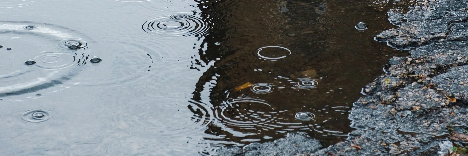 Hệ thống bơm nước mưa thông minh mang lại sự an tâm và tiết kiệm