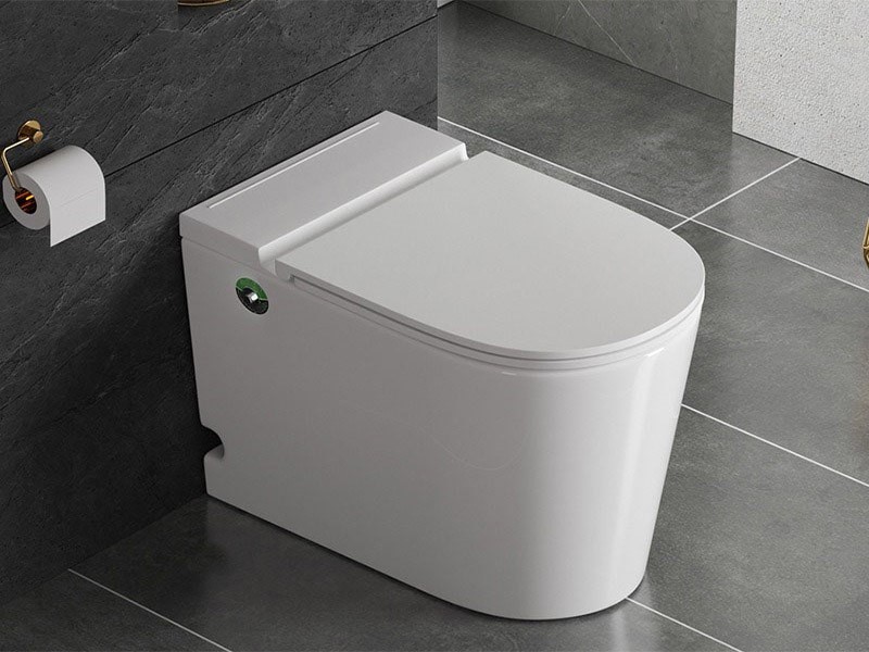 Bồn cầu không két nước