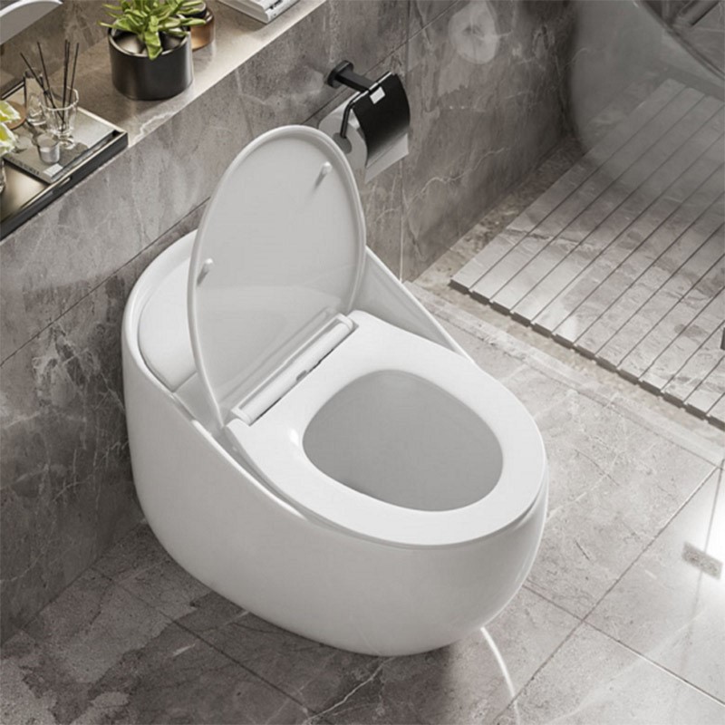 Bồn cầu quả trứng đẹp và tinh tế