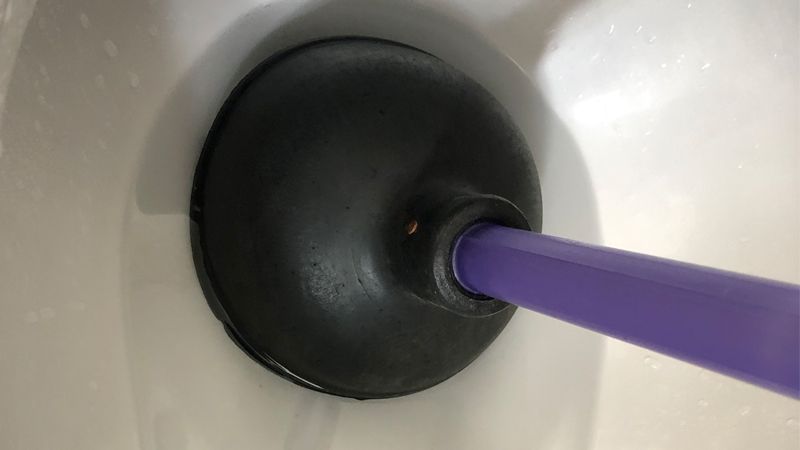 Cây thông bồn cầu có 2 loại