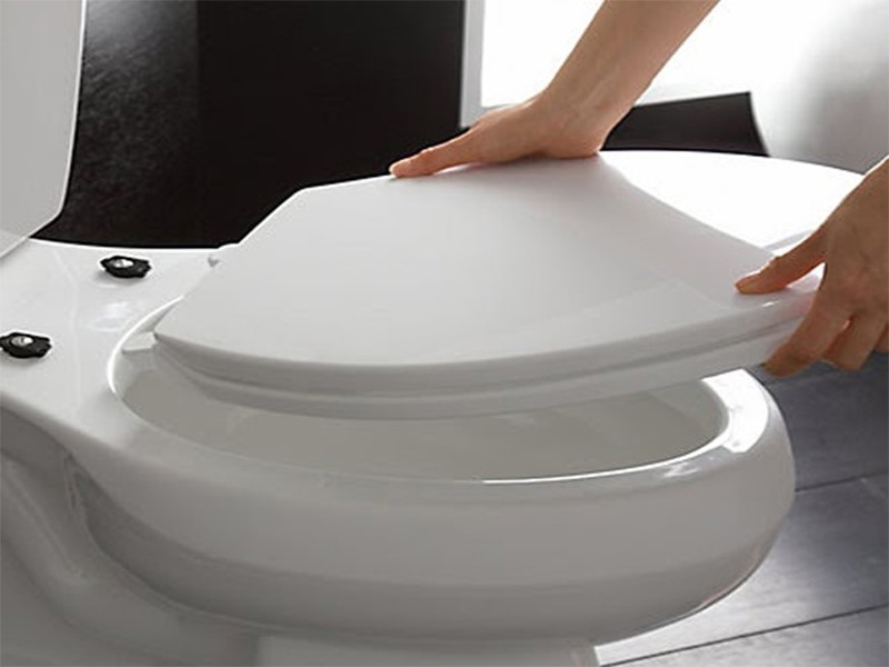 Chọn nắp bồn cầu phù hợp