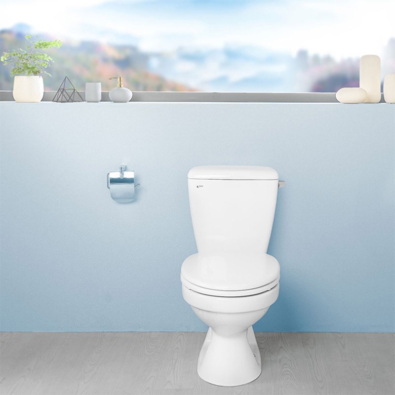 Sử dụng bồn cầu giá rẻ dưới 500k