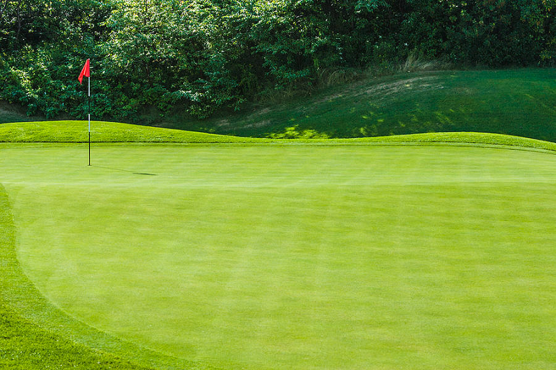 Khu vực green trong golf với nền cỏ xanh mướt, mịn, bằng phẳng