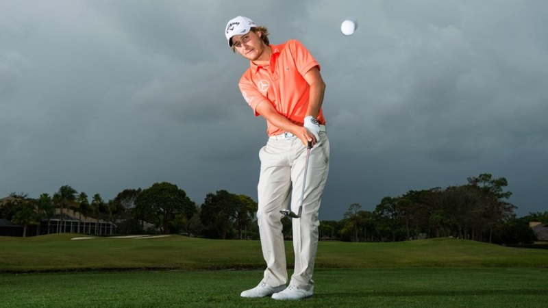 Pitching là thuật ngữ chỉ những cú đánh mà bóng sẽ bay trên không ⅔ quãng đường