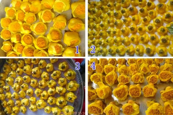 Quy trình sấy thăng hoa giữ nguyên dưỡng chất của hoa trà