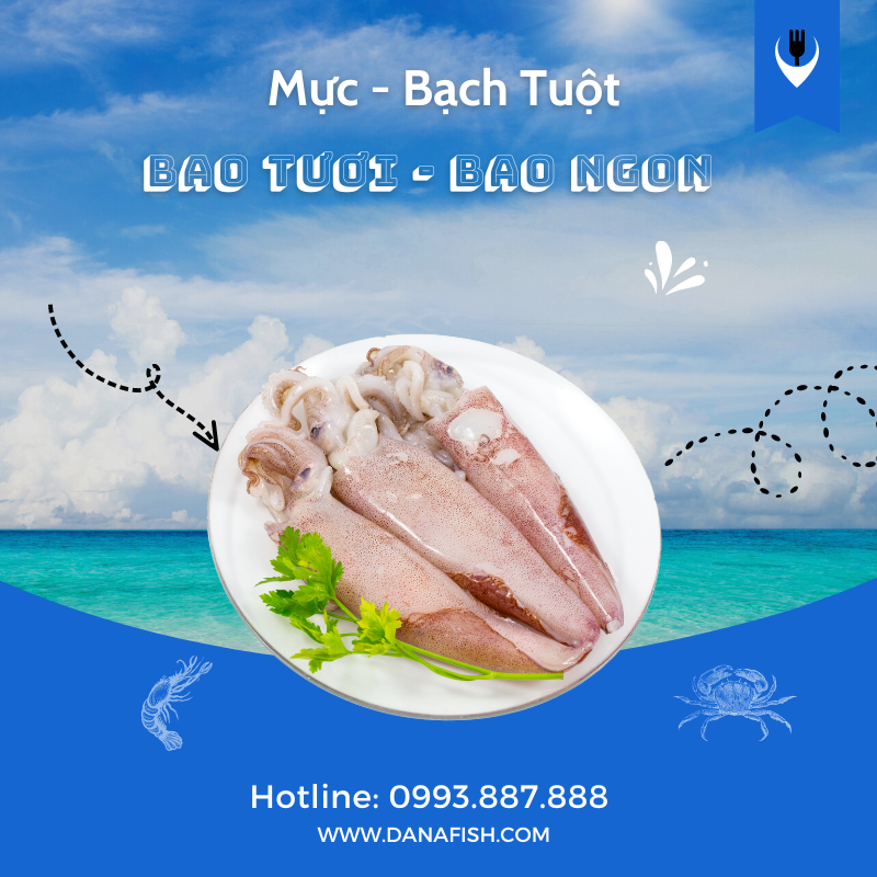 Mực / Bạch Tuột