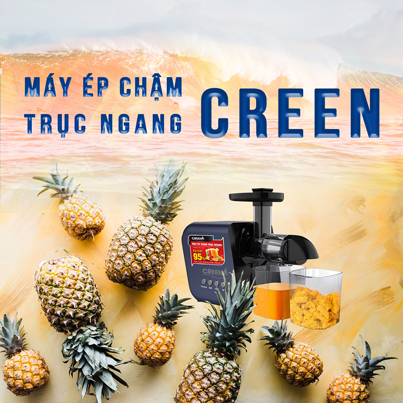 ᴛẾᴛ ᴅɪỆᴛ ꜱÂᴜ ʙỌ ᴄÓ ᴛʜỂ Ăɴ ɢÌ, ᴜỐɴɢ ɢÌ?