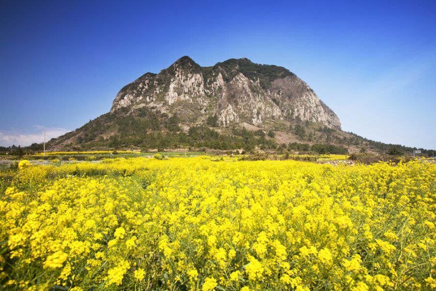 10 địa điểm du lịch Jeju nhất định phải ghé thăm