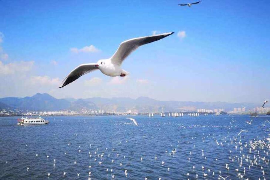 8 địa điểm du lịch Côn Minh hot nhất 2024