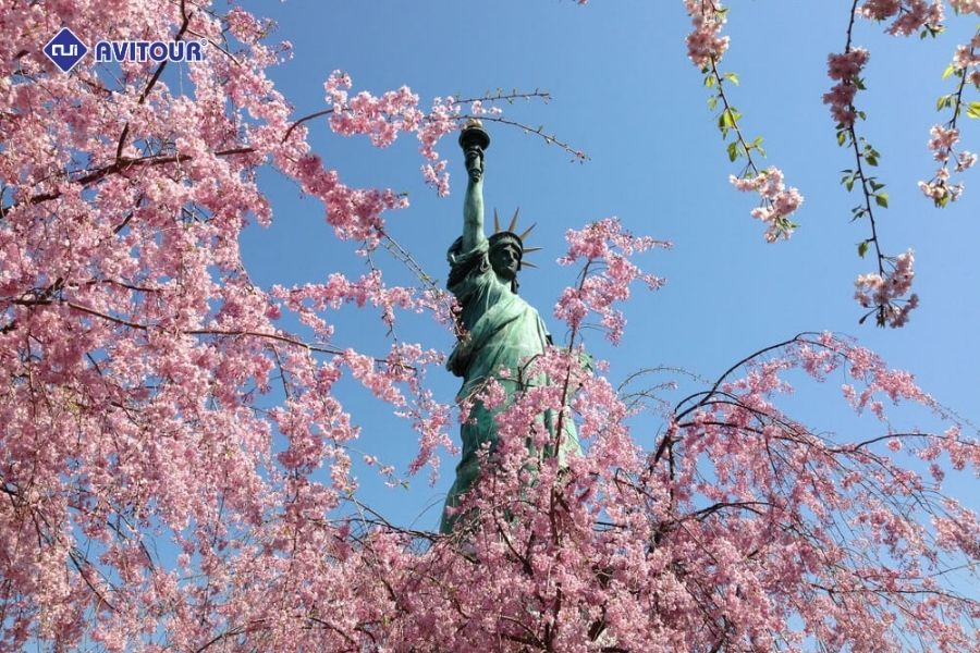 Bật mí những thiên đường ngắm hoa anh đào ở Mỹ 2025