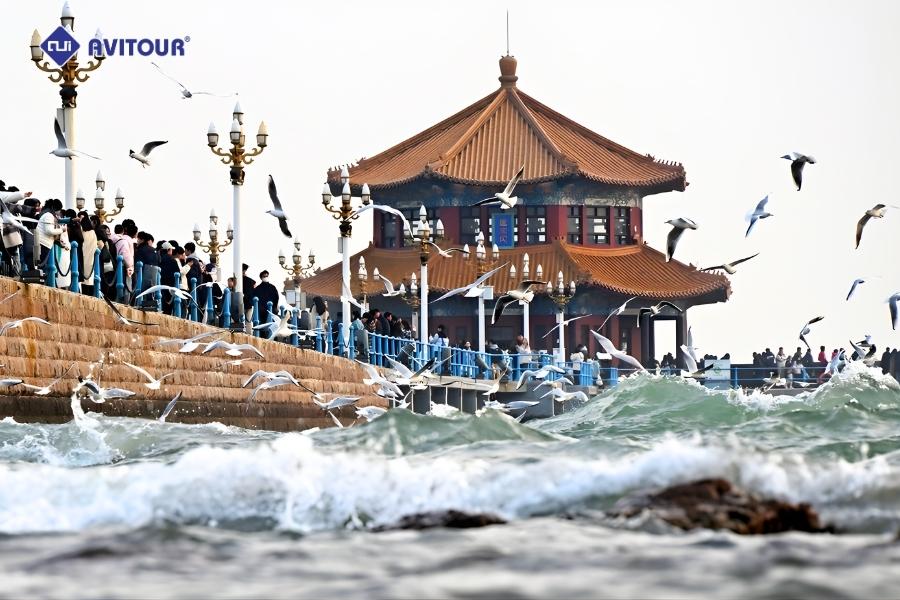 Bến tàu Trạm Kiều - Biểu tượng lịch sử bên bờ biển Thanh Đảo