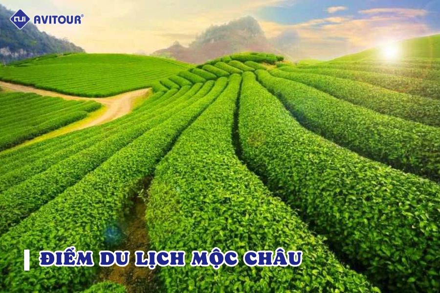 Các điểm du lịch Mộc Châu đẹp điên đảo