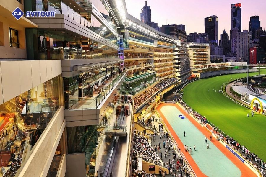 Cẩm nang vui chơi giải trí ở Hồng Kông