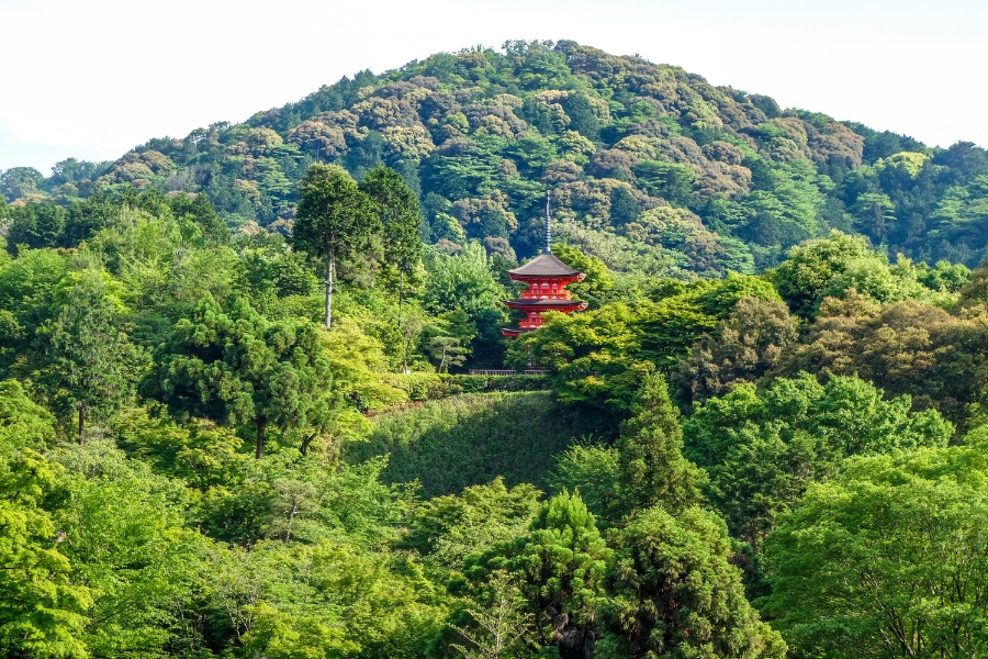 Chùa Thanh Thủy - Tinh hoa văn hóa Nhật Bản