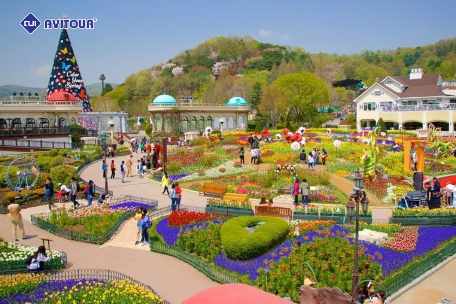 Công viên Everland giải trí bậc nhất tại Hàn Quốc