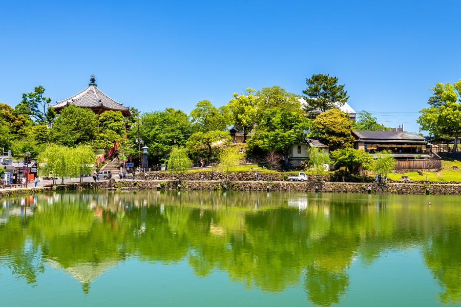 Công viên Nara - nổi danh với loài "nai thần"