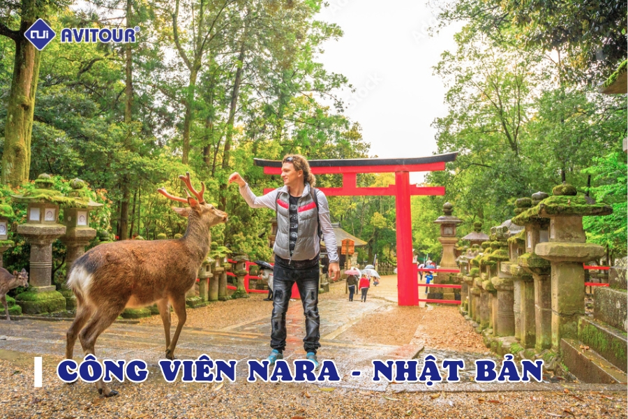 Công viên Nara - nổi danh với loài "nai thần"