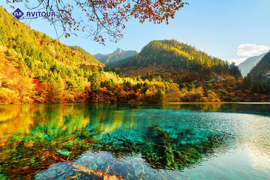 Cửu Trại Câu tháng mấy có tuyết? Bỏ túi kinh nghiệm du lịch mùa đông