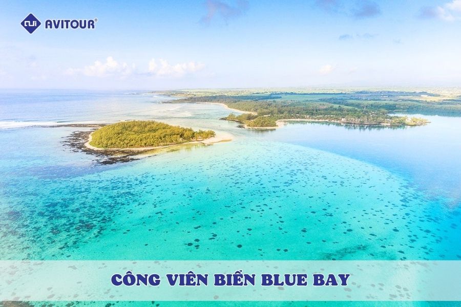 Đắm mình trong làn nước trong vắt tại công viên biển Blue Bay
