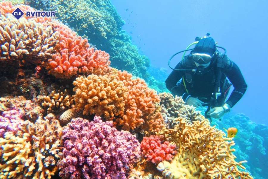 Đắm mình trong làn nước trong vắt tại công viên biển Blue Bay