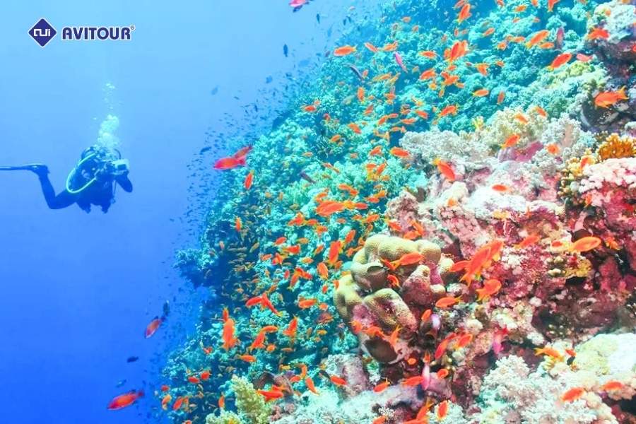 Đắm mình trong làn nước trong vắt tại công viên biển Blue Bay