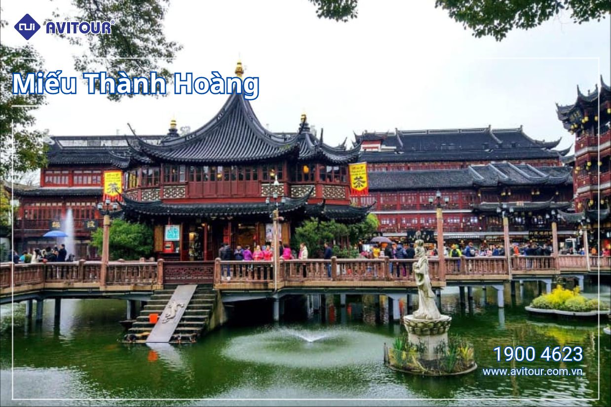 Dạo bước trên đường phố Trung Quốc | BẮC KINH - TÔ CHÂU - TÂY ĐƯỜNG - HÀNG CHÂU - THƯỢNG HẢI