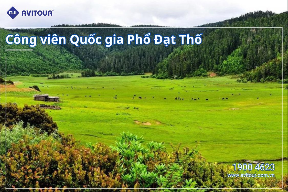 Dạo quanh Trung Quốc | HÀ NỘI - ĐẠI LÝ - LỆ GIANG - SHANGRILA - HÀ NỘI